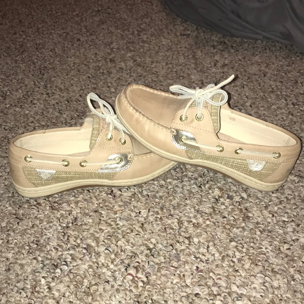 Sperry’s 5.5